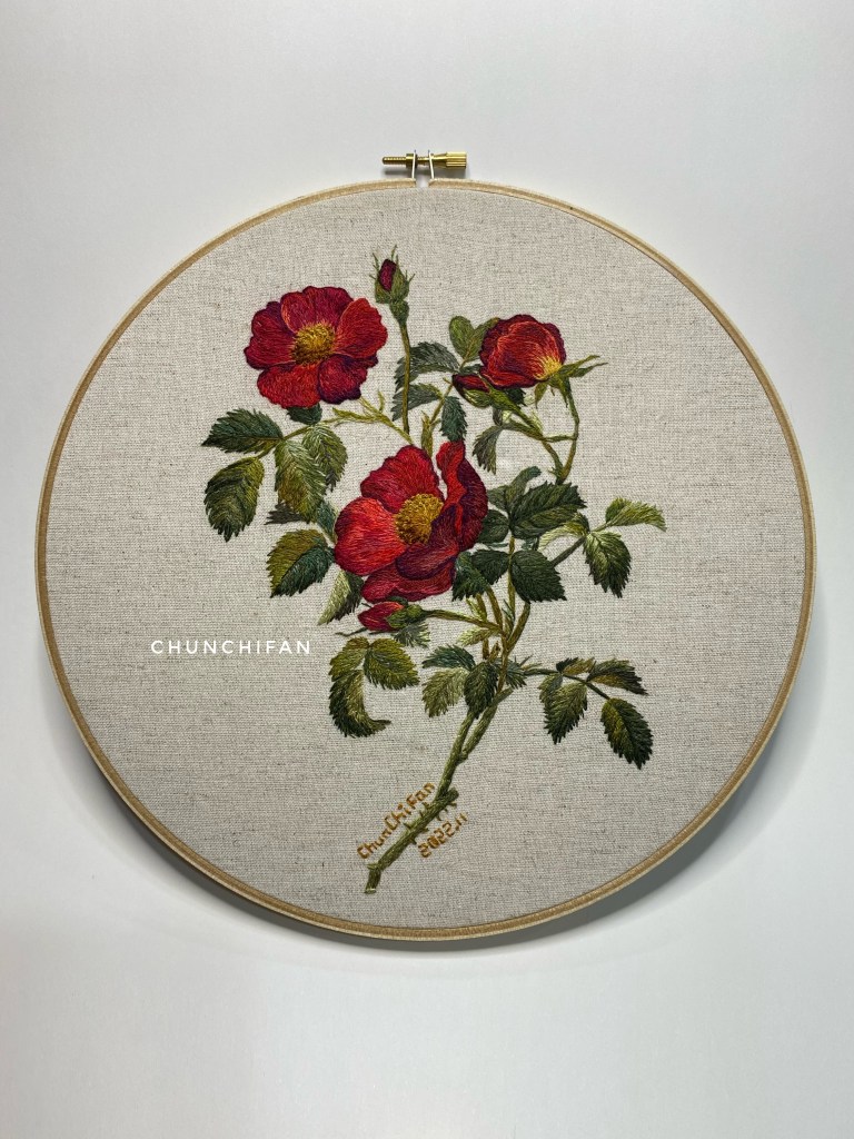 法國薔薇圖鑑 (Roses)，2022 年 11 月，作者 范郡琦