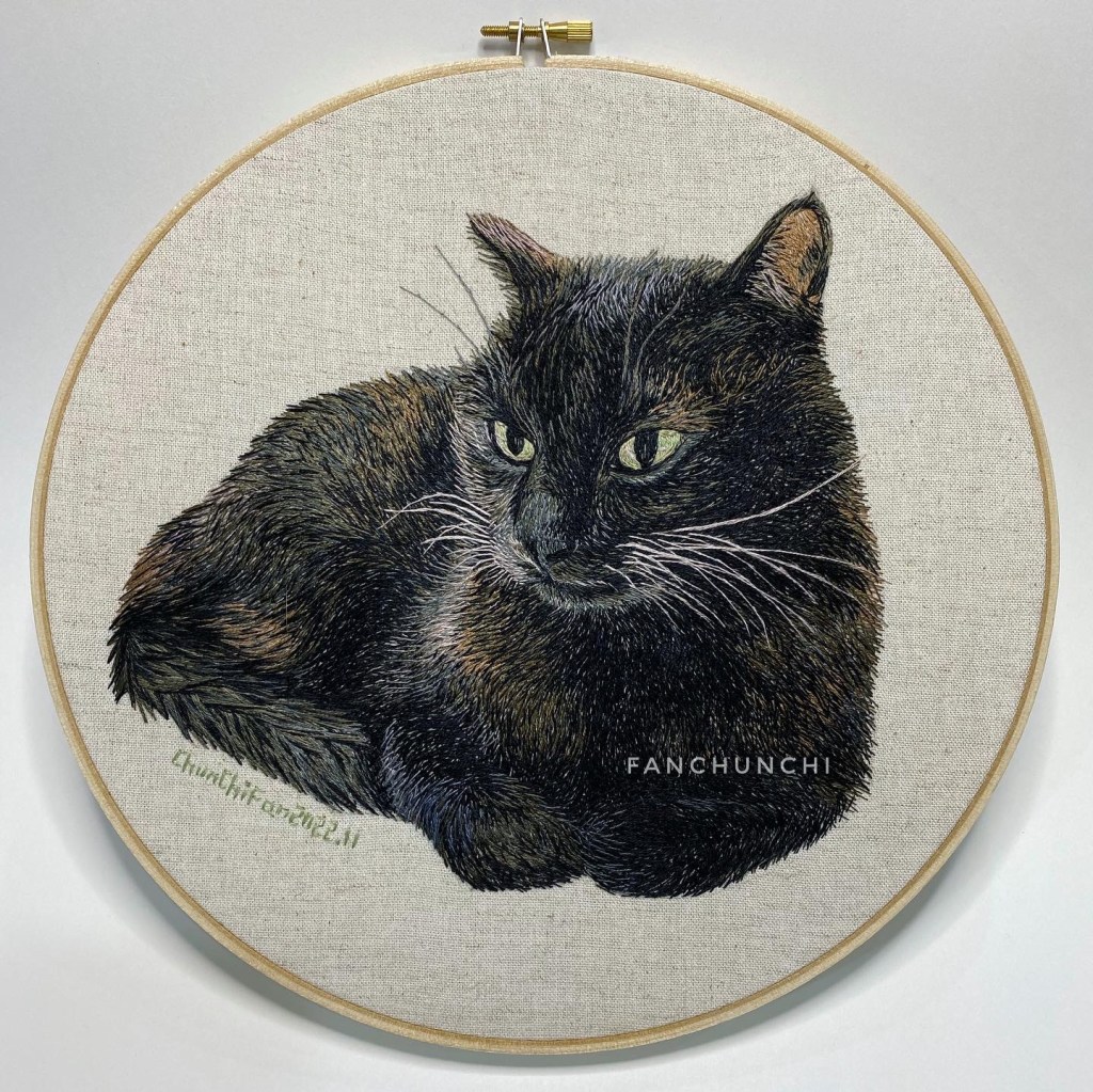 黑妹 (我家的貓)，2022 年 11 月，作者 范郡琦