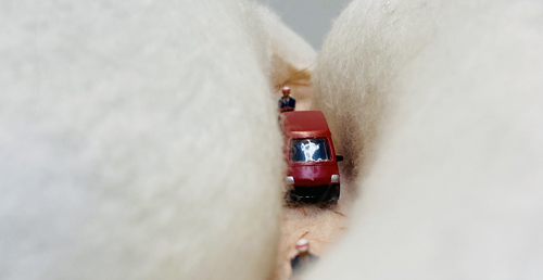 線上展覽｜羊毛惑星日常地景 08｜冬日羊腸小徑